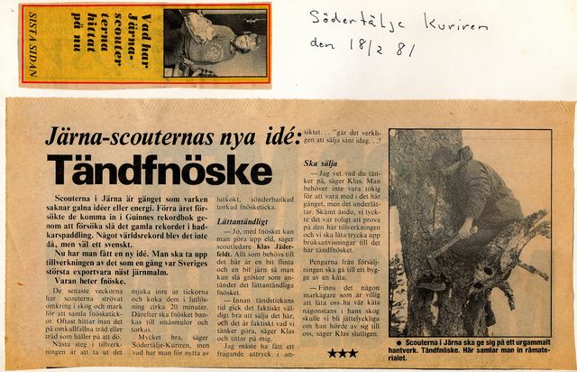 Fnöske.jpg