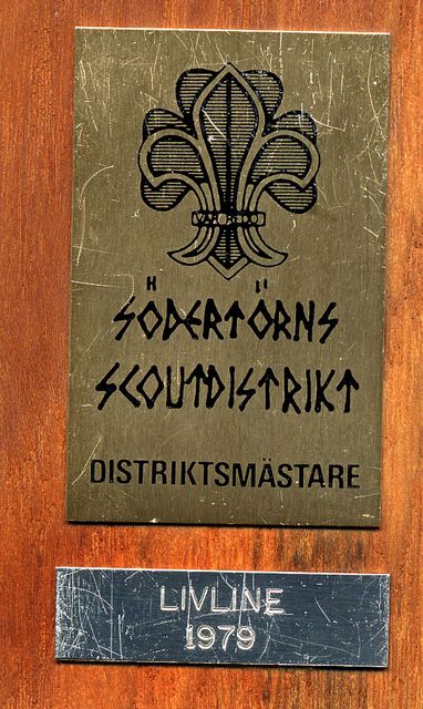 Distriktsmästare.jpg
