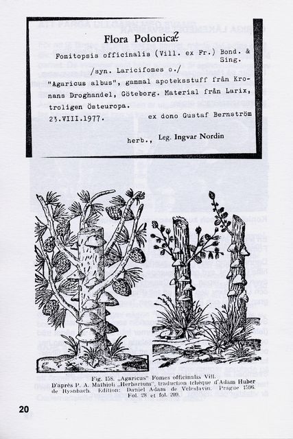 Autodidakten  nr 7  18.jpg
