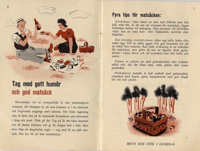 svampbok 3.jpg