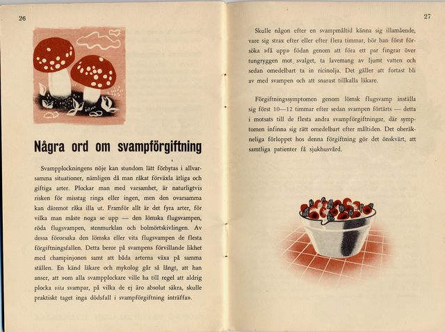 svampbok 13.jpg