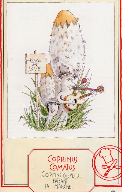 FjÃ¤llig blÃ¤cksvamp.jpg