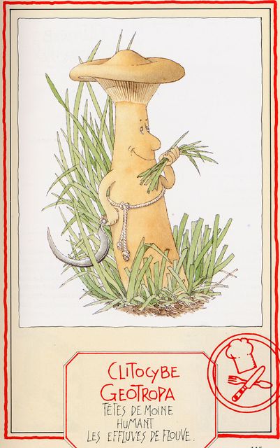 HÃ¤ggdoftande trattskivling.jpg