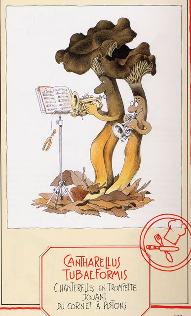 Trattkantarell.jpg