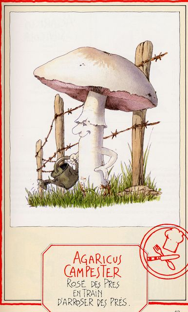 Ã„ngschampinjon.jpg